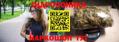 индика Моздок