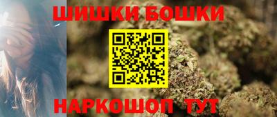 индика Моздок