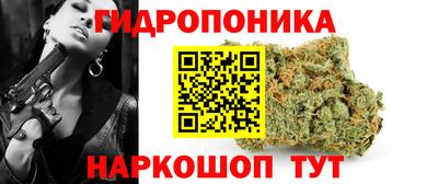 индика Моздок