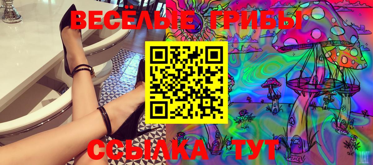 Псилоцибиновые грибы GOLDEN TEACHER Кириши