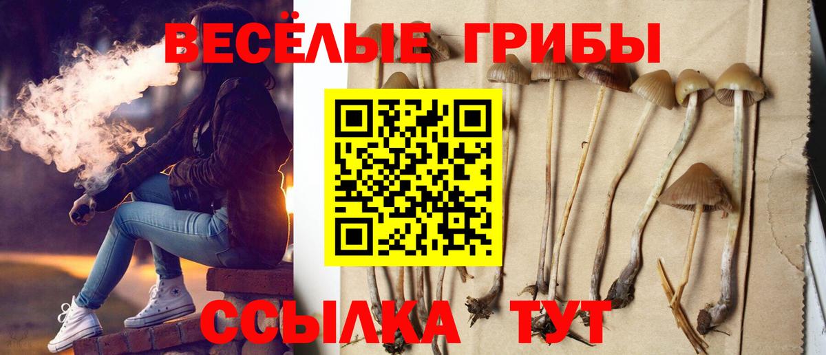 Псилоцибиновые грибы прущие грибы  Галлюциногенные грибы Psilocybe  Вход с VPN  Кириши 